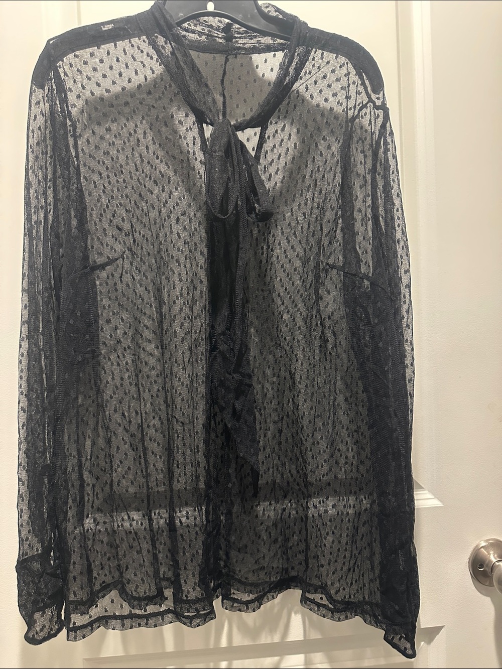 Sheer Tie-Neck Blouse - Black